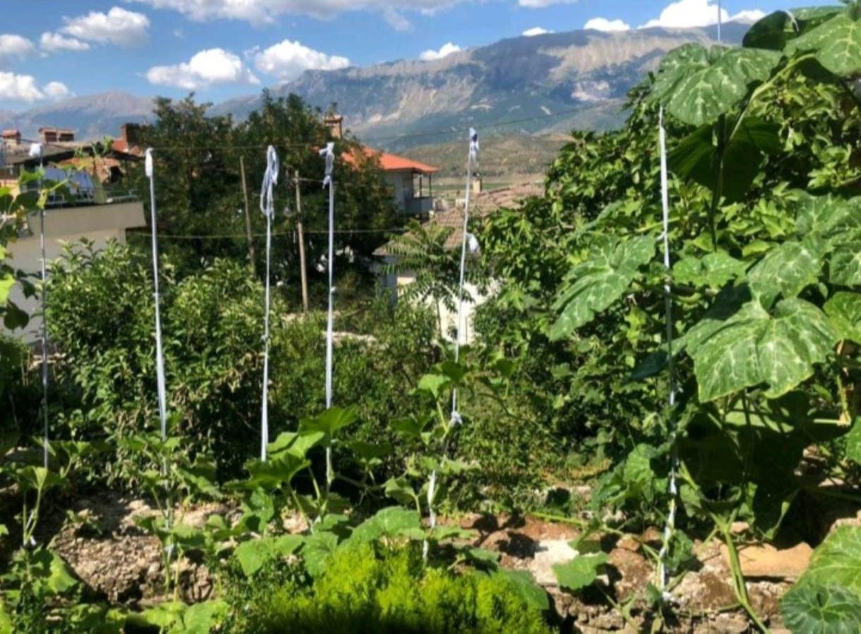 Miziriguesthouse Gjirokastër المظهر الخارجي الصورة